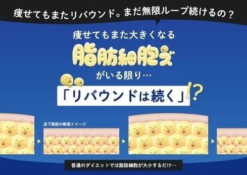 痩せてもまたリバウンド。まだ無限ループ続けるの？痩せてもまた大きくなる脂肪細胞ズがいる限り・・・リバウンドは続く！？