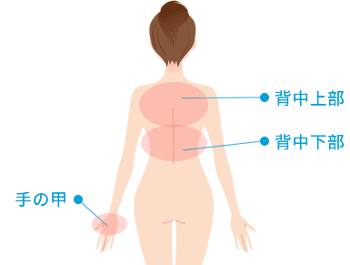 部位正面