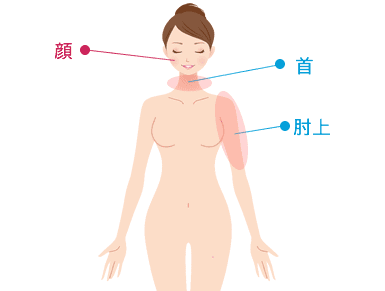 部位背面