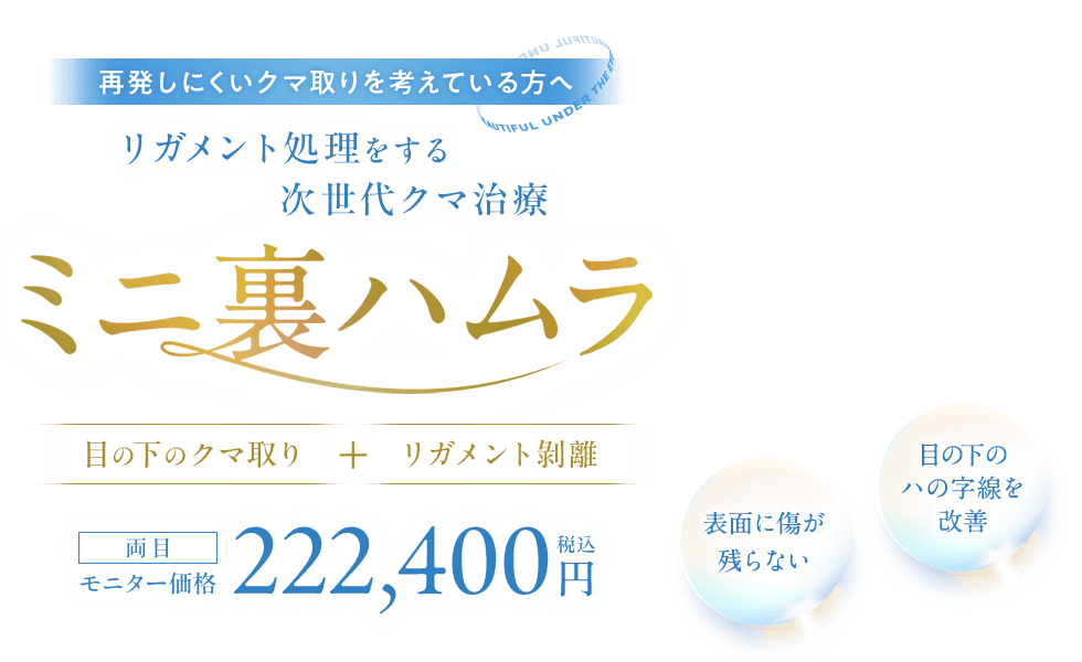 ミニ裏ハムラ