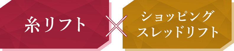 糸リフト×ショッピングスレッドリフト
