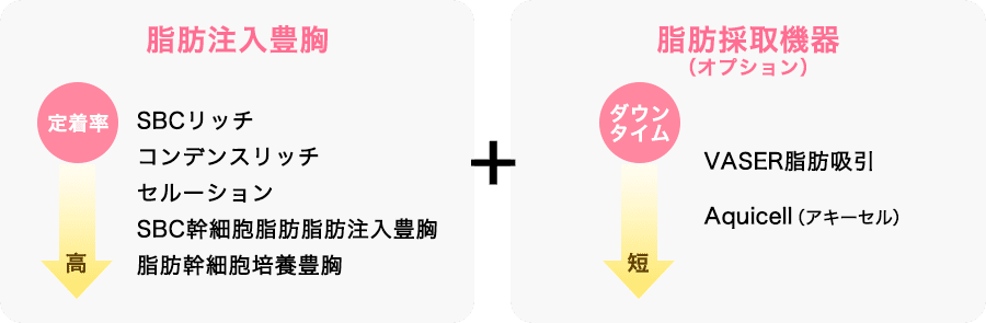 脂肪注入図