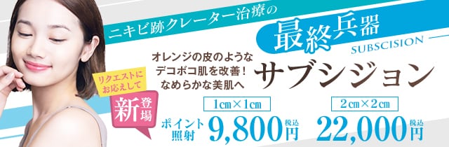 サブシジョン