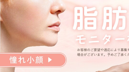 脂肪吸引モニター