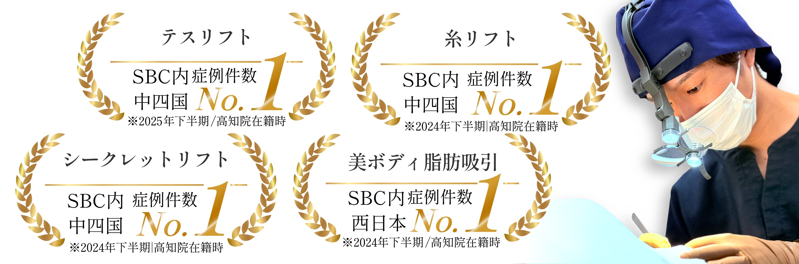 実績