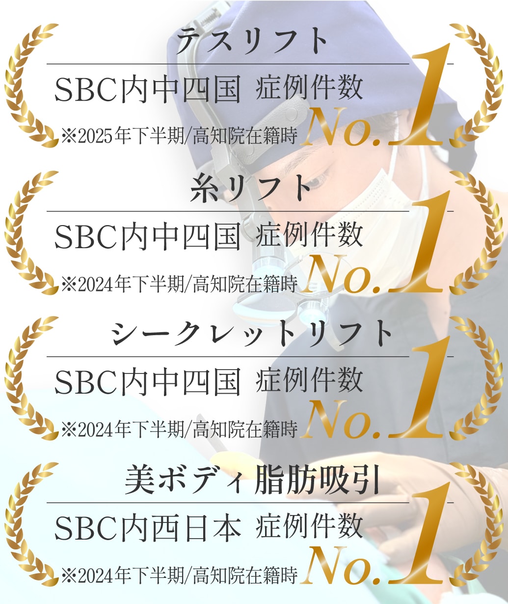 実績
