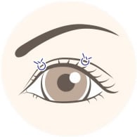 alt="週末二重&reg;"