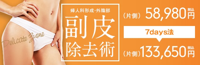 婦人科形成・外陰部 副皮除去術