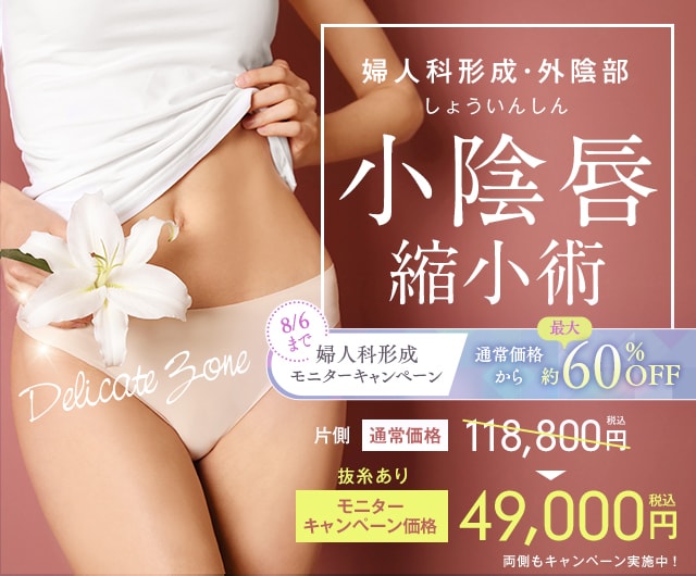 婦人科形成・外陰部 小陰唇 縮小術 (片側)69,250円 税込 7days法 (片側)162,000円 税込