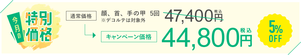 今月のキャンペーン