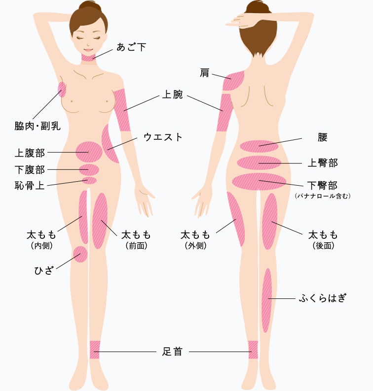 PARTS 対象部位 体