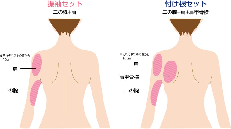 部位の解説（体）