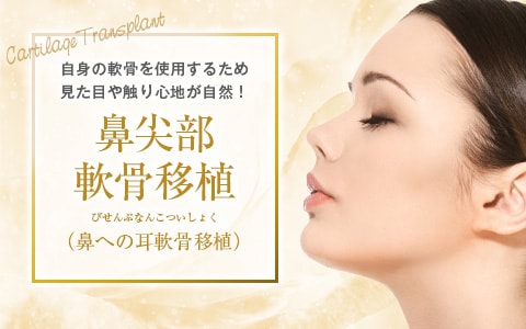 鼻尖部軟骨移植（鼻への耳介軟骨移植）