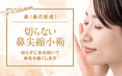 切らない鼻尖縮小術