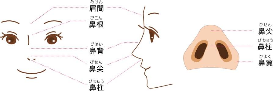 各部位の名称