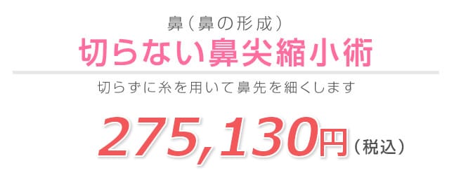 切らない鼻尖縮小術
