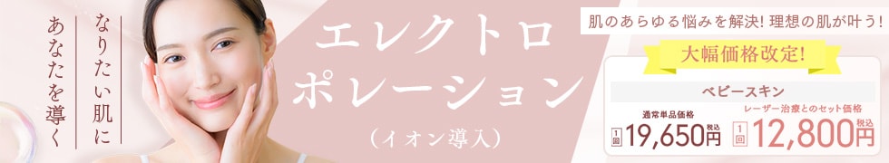 エレクトロポレーション(イオン導入)