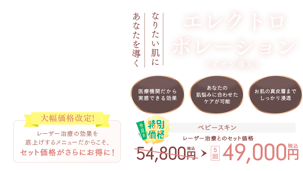 エレクトロポレーション(イオン導入)