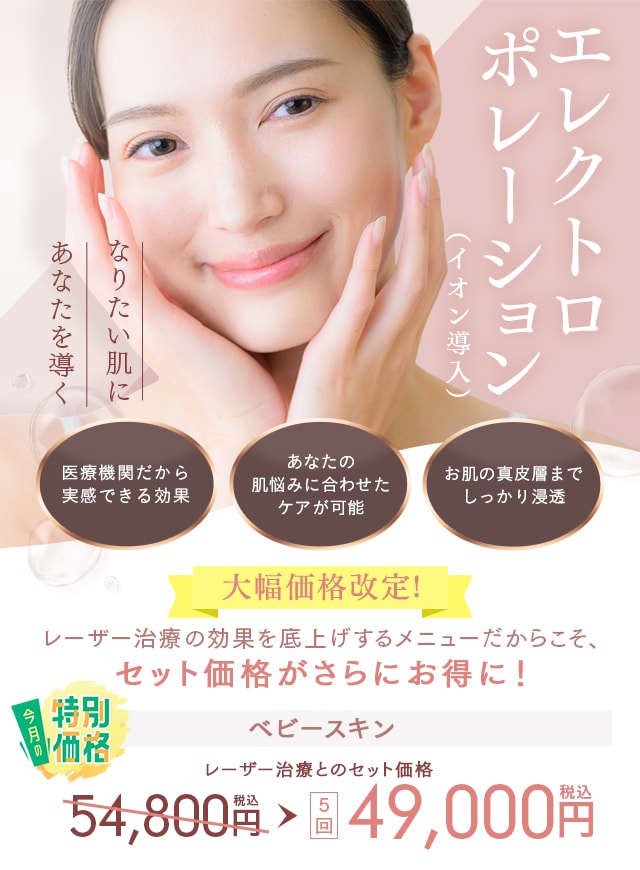 エレクトロポレーション（イオン導入）