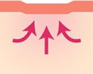 トライフィルプロの仕組み STEP5