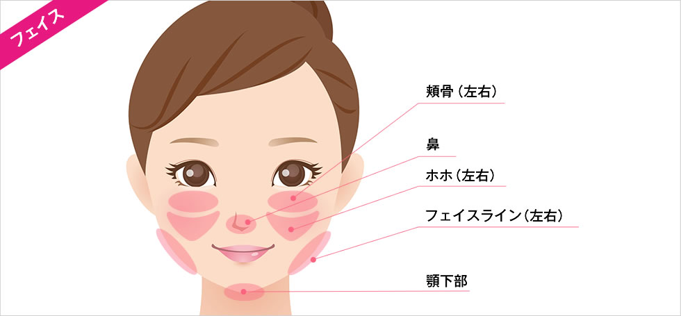 脂肪溶解注射 BNLS アルティメット(小顔注射)の対応部位 フェイス