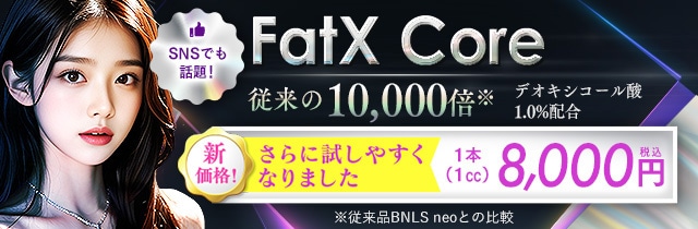 FatX Core（ファットエックス コア）