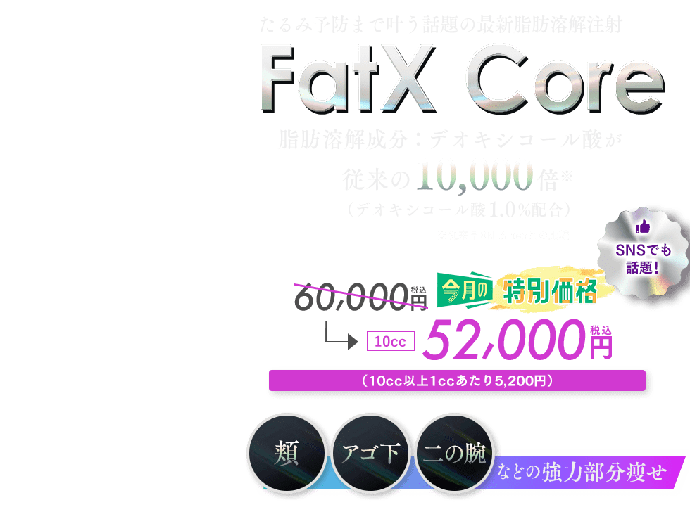 FatX Core