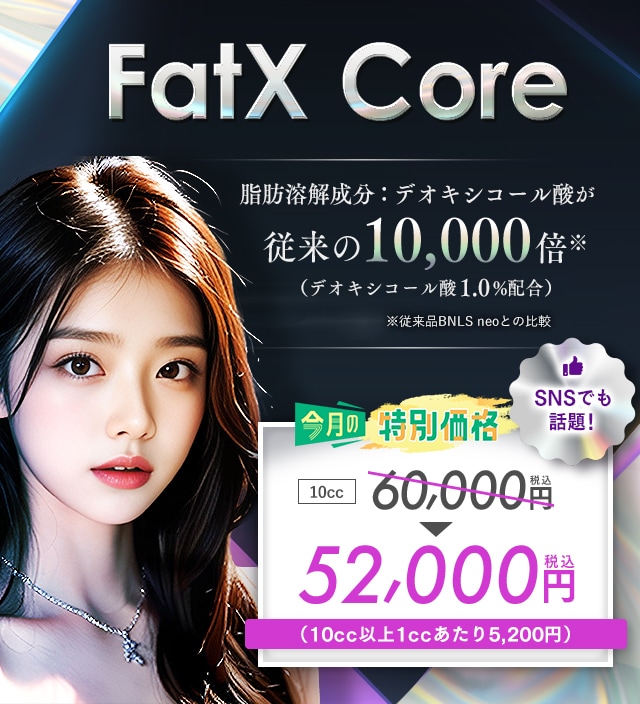 FatX Core