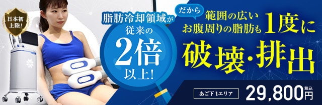 クールスカルプティング&reg; エリート（クルスカダブル）