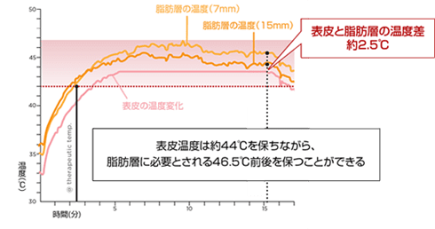実際の組織内の温度変化 画像