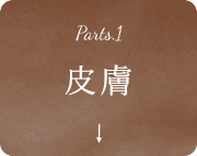 皮膚