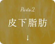 皮下脂肪