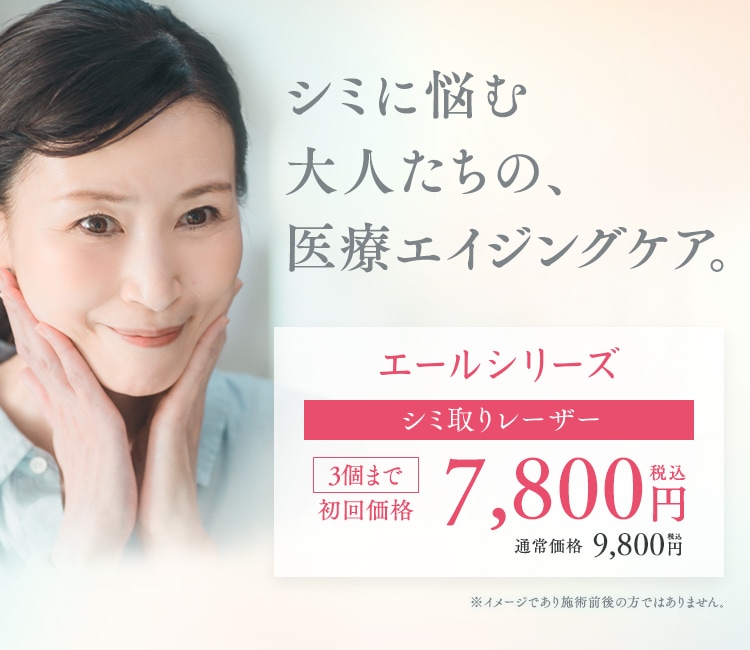 エールシリーズ
