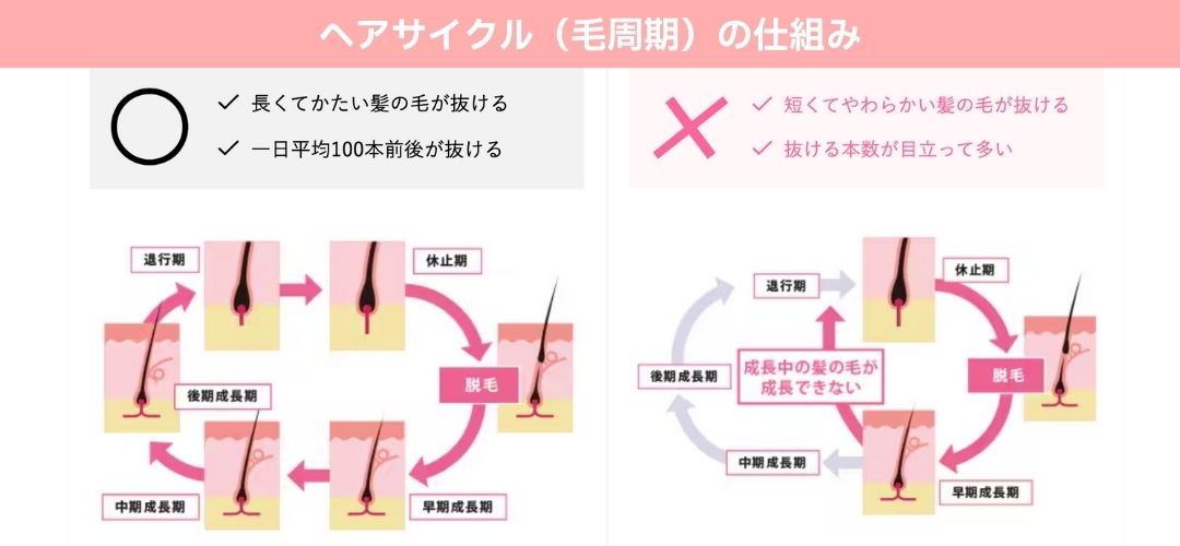 原因