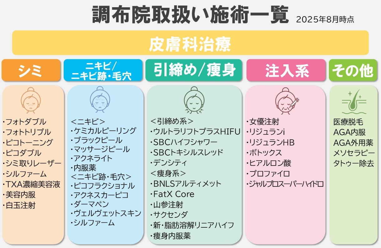 【シミ・ニキビ・ニキビ跡・毛穴・引き締め・痩身・注入系・その他】