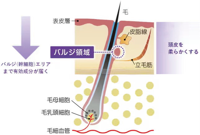 クイックメソ3つの特徴