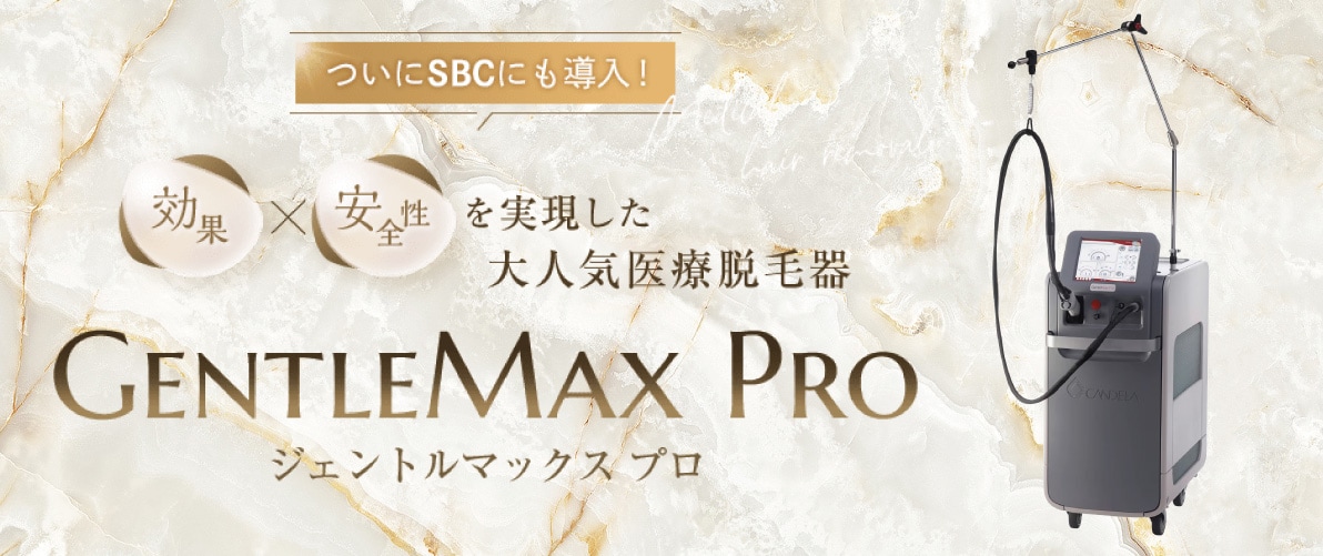 GentleMax Pro（ジェントルマックス プロ）