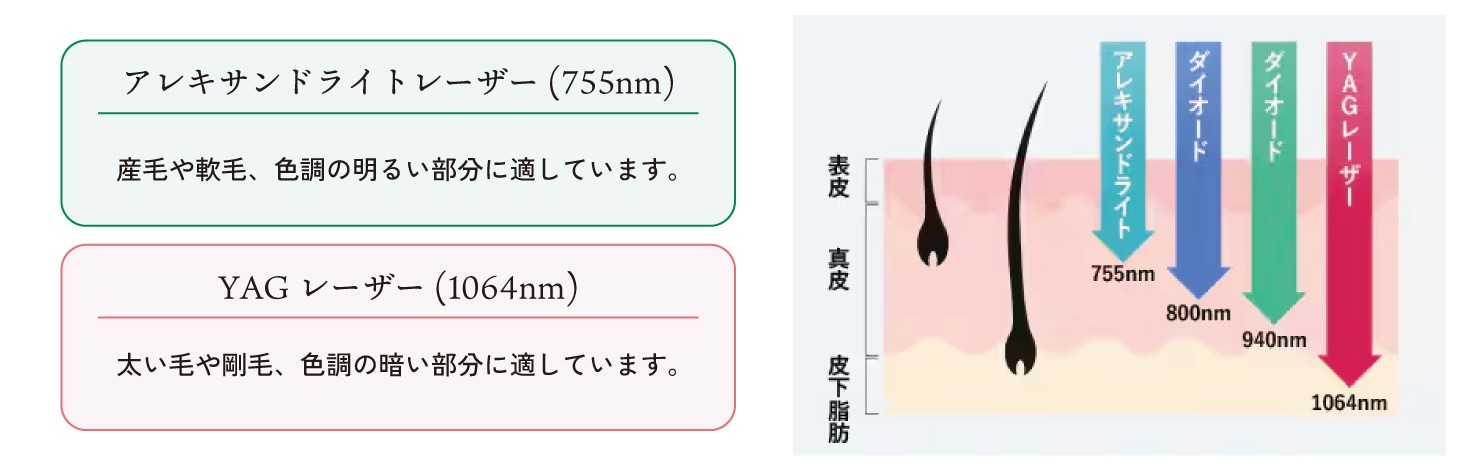 熱破壊式で異なる2波長を搭載