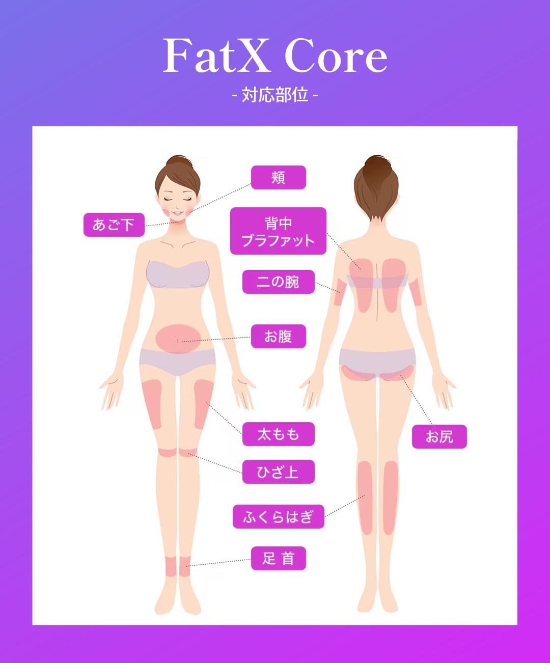 適応部位・施術量の目安