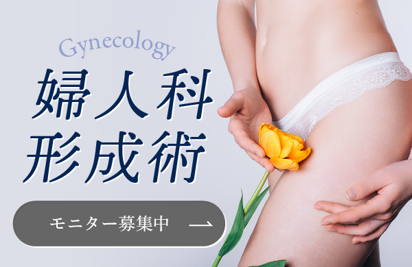 婦人科形成術