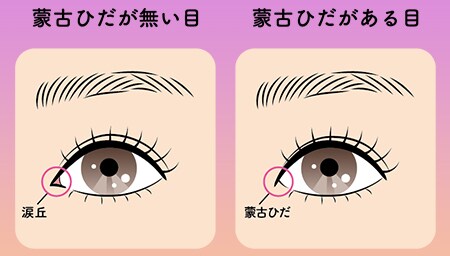 理想の目元をお聞かせください