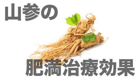 特徴 2. 高麗人参の中でも特に効果の高い“山参サンサム”を使用