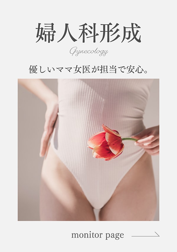 小陰唇縮小術 / 副皮除去術 / 陰核包茎術 / 他院修正 / 片側のみ・抜糸なしOK