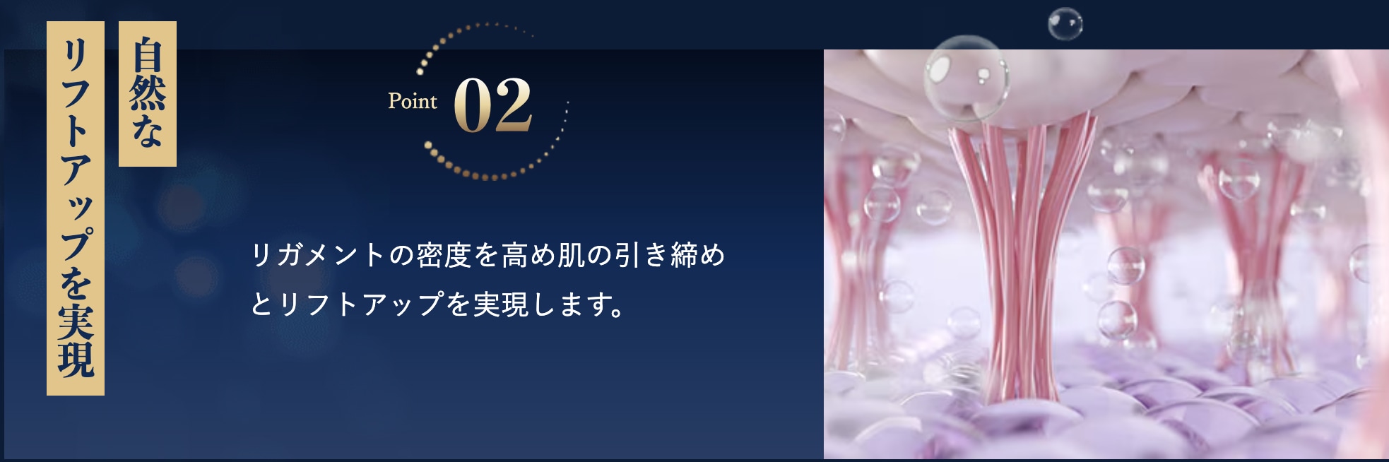 自然なリフトアップを実現
