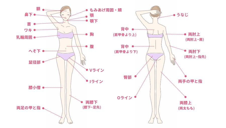 部位単体から全身まで！豊富なメニューが揃っています！