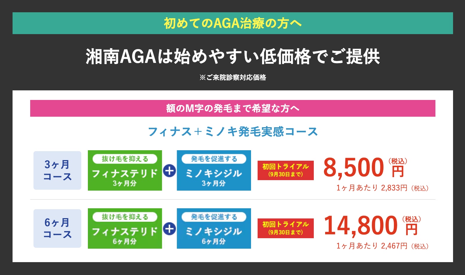 初回限定価格、手を出しやすい金額