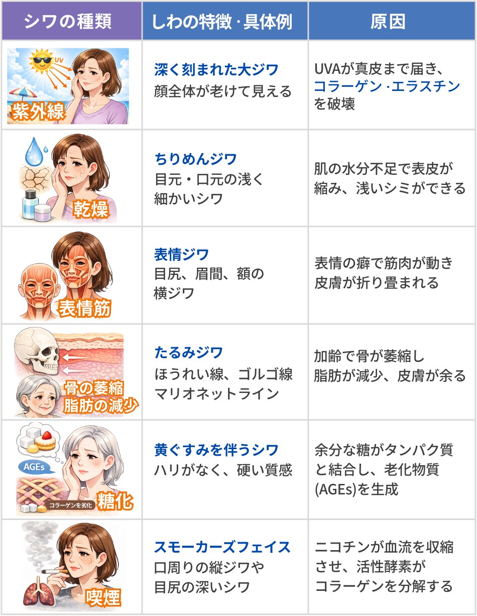 【診断】シワができるメカニズム一覧