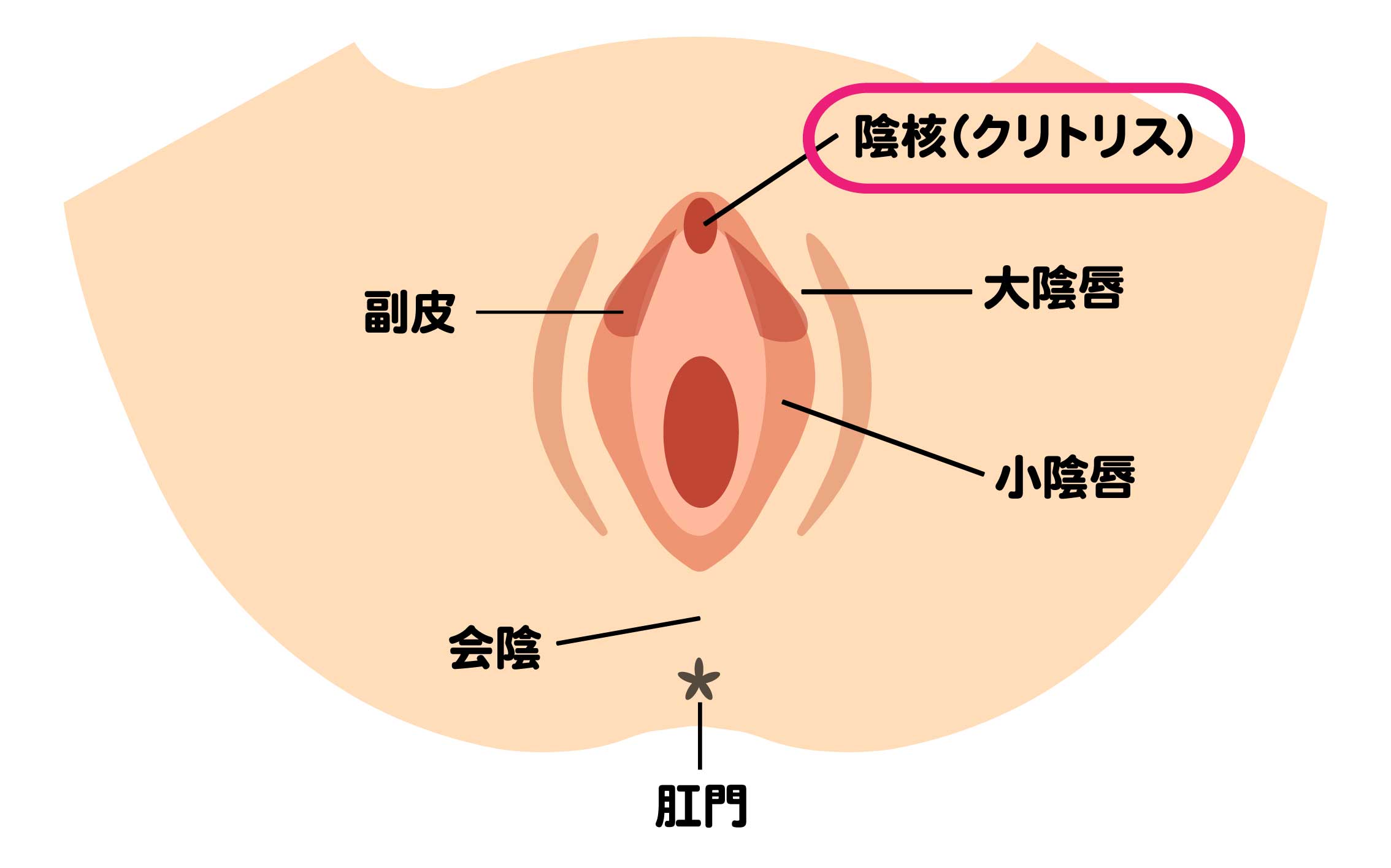 陰核（クリトリス）包茎術