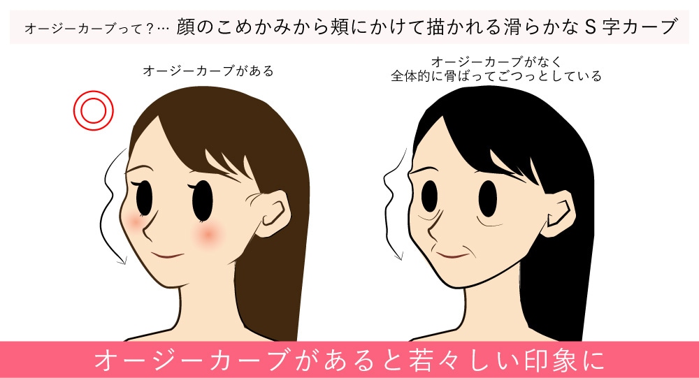 オージーカーブとは？