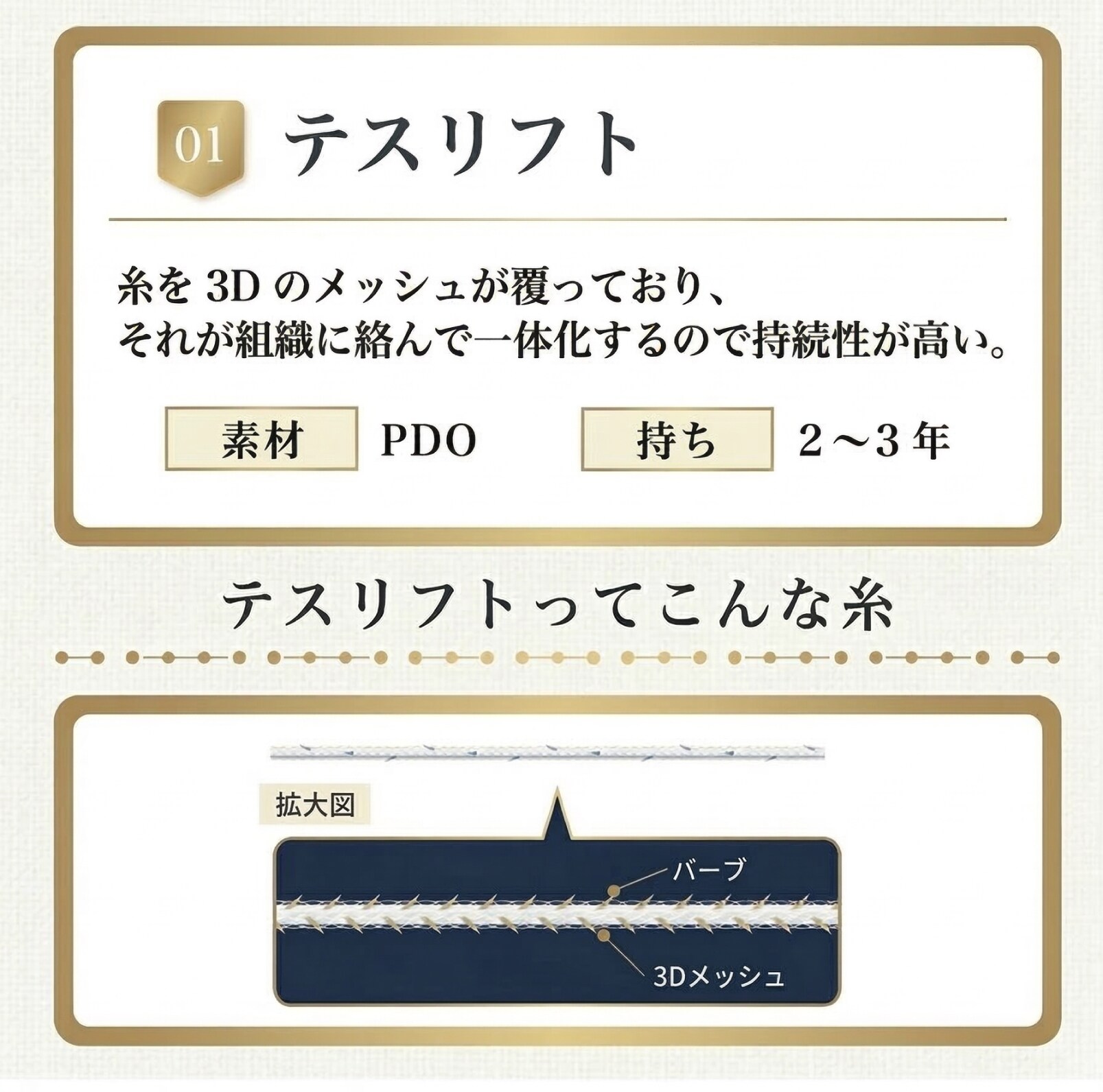 テスリフト（TESSリフト）